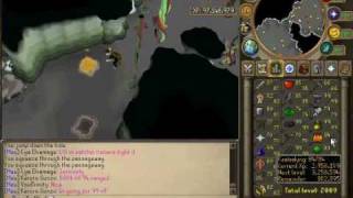 Runescape  How to get to the Jadinko Lair [upl. by Alihet]