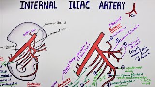 7 Pelvic Tilt Exercises  Anatomical Analysis [upl. by Harret]