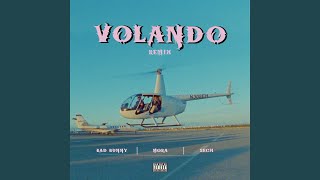 Volando Remix [upl. by Gurolinick]