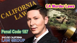 California Murder Laws  Penal Code 187 [upl. by Oranneg]