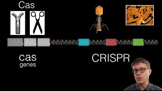 Inside a CRISPR Lab [upl. by Snell]