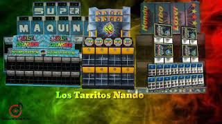 Los Tarritos Nando  Reggae [upl. by Vento]