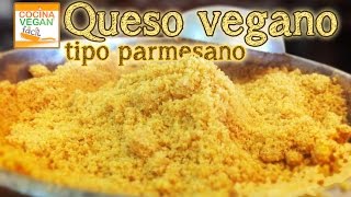 Queso vegano tipo parmesano  Cocina Vegan Fácil [upl. by Eemak758]