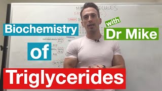 Fatty Acids Glycerol and Lipids  Biochemistry [upl. by Anibas]