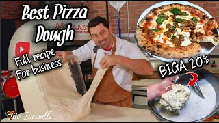 How To Make Best PIZZA DOUGH for Your Business Full RecipeBIGA [upl. by Niwri]