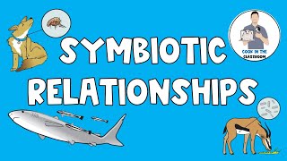 Symbiotic Relationships [upl. by Ecital]