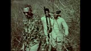 Rare Footage Tiger Hunting with Recurve Bow From The Fred Bear Archive [upl. by Eerhs]