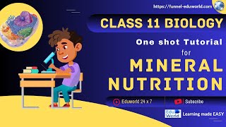 Mineral Nutrition  Class 11 BIOLOGY  NEET [upl. by Tenrag822]