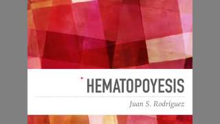 Hematopoyesis [upl. by Jit237]