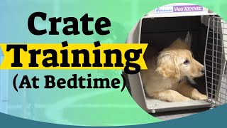 How to Crate Train A Puppy At Night  Crate training for puppies [upl. by Marlo698]