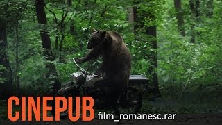 URSUL  Film Romanesc comedie  CINEPUB [upl. by Carbrey]