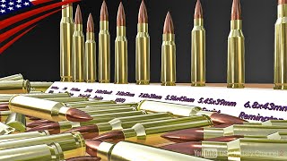 【次世代quot68mmquotライフル弾とは？】AK47の銃弾は意外と小さい！米国や旧ソ連など世界のライフル弾を紹介 [upl. by Marielle557]