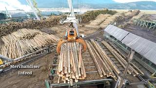 Logs to Lumber  An aerial journey through the sawmill [upl. by Dirk154]