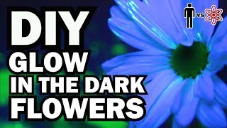 DIY Glow in the Dark Flowers  Man Vs Science 6 [upl. by Cord]