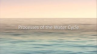 Processes of the Water Cycle ALevel Geography [upl. by Aiouqahs515]