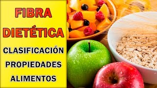 Fibra Dietética  Clasificación Propiedades y Lista de Alimentos [upl. by Ciapas]