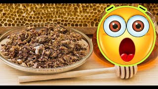 The Benefits and Uses of Propolis [upl. by Roddie]