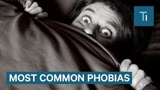 How To Get Over Phobias According To A Psychologist [upl. by Alolomo216]