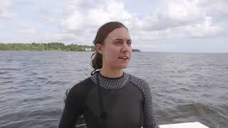 Pamlico Sound Oyster Sanctuaries [upl. by Solon417]