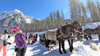 The hidden valley Alta Badia a ski run ending with a horse tow [upl. by Eliott]