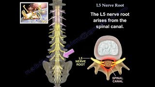 How To Relieve Spinal Stenosis With Exercise [upl. by Kucik]