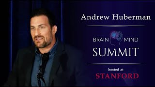 Dr Andrew Huberman  Breathing Exercises for Optimized Brain Performance [upl. by Ruy255]