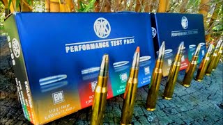 RWS Performance Test Pack [upl. by Gaeta687]