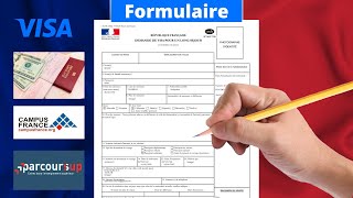 Comment remplir le formulaire de demande de visa Comment faire une demande de visa  France Visa [upl. by Ajnat430]