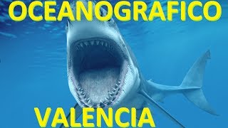 Oceanografico  Oceanografic Valencia [upl. by Pfosi]