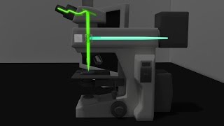 Fluorescence Microscopy Animation [upl. by Hsirrehc]