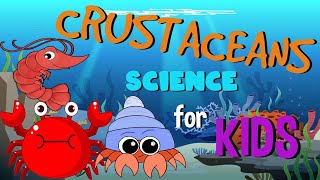 What are Crustaceans  Science for Kids [upl. by Hyozo564]