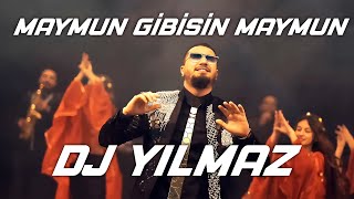 İzmir Gaydası  Dj Yılmaz  Maymun Gibisin Maymun \ Ağır Roman Havası 2020 [upl. by Einram564]