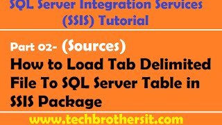 SSIS Tutorial Part 02 How to Load Tab Delimited File To SQL Server Table in SSIS Package [upl. by Grosz]