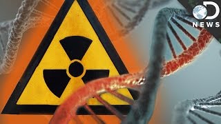 How Radiation Changes Your DNA [upl. by Schertz]