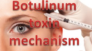 Botulinum toxin mechanism [upl. by Nwahshar192]