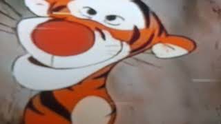 The Many Adventures Of Winnie The Pooh Meet Tigger 1977 VHS Capture [upl. by Nalro]