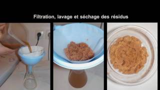 Extraction du chitosane pour fabriquer un bioplastique [upl. by Acinhoj672]