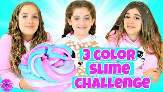 3 Color Slime Challenge [upl. by Wachtel]