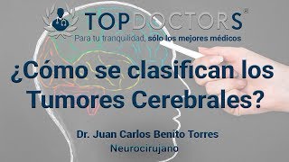 ¿Cómo se clasifican los Tumores Cerebrales [upl. by Simona]