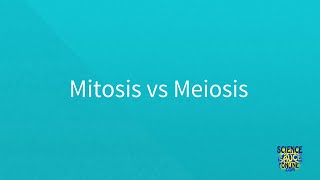 Mitosis vs Meiosis SUPER SIMPLE [upl. by Ziladnerb]