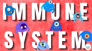 Immune System Innate and Adaptive Immunity Explained [upl. by Yrneh]