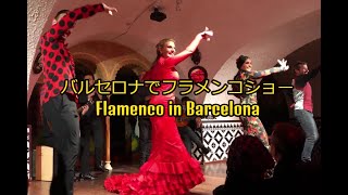 バルセロナで最高のフラメンコショー Flamenco in Barcelona [upl. by Eelek]