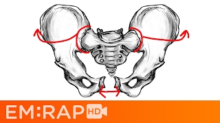 Pelvic Arteries Memory Tricks [upl. by Maris]