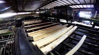 Collums Lumber Products LLC  Sawmill Tour [upl. by Odnamla45]