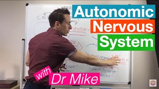 Autonomic Nervous System [upl. by Herbst]