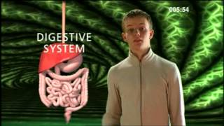 Cell Tissue Organ System Organism  BBC Curriculum Bites [upl. by Prakash]