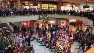 Flash Mob the best of Christmas 2011  Flash Mob Best Of [upl. by Oderfodog650]