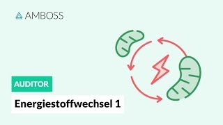 Energiestoffwechsel Teil 1  Woher bezieht der Körper seine Energie  AMBOSS Auditor [upl. by Georg589]