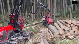 🌲 Komatsu 931xc amp C144 im Starkholz 🌲 [upl. by Baumann]