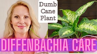 Dieffenbachia Care Propagation and Problems  Dumb Cane Plant with MOODY BLOOMS [upl. by God]